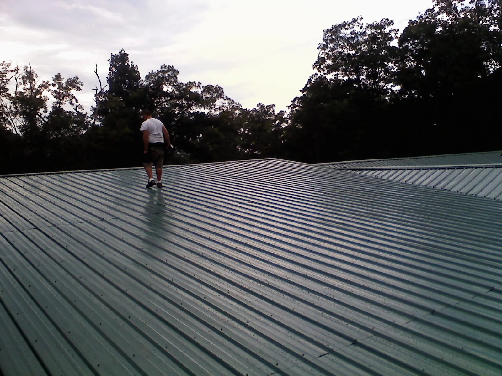 Roofer walking a wide expanse of new green metal roofing in Citra