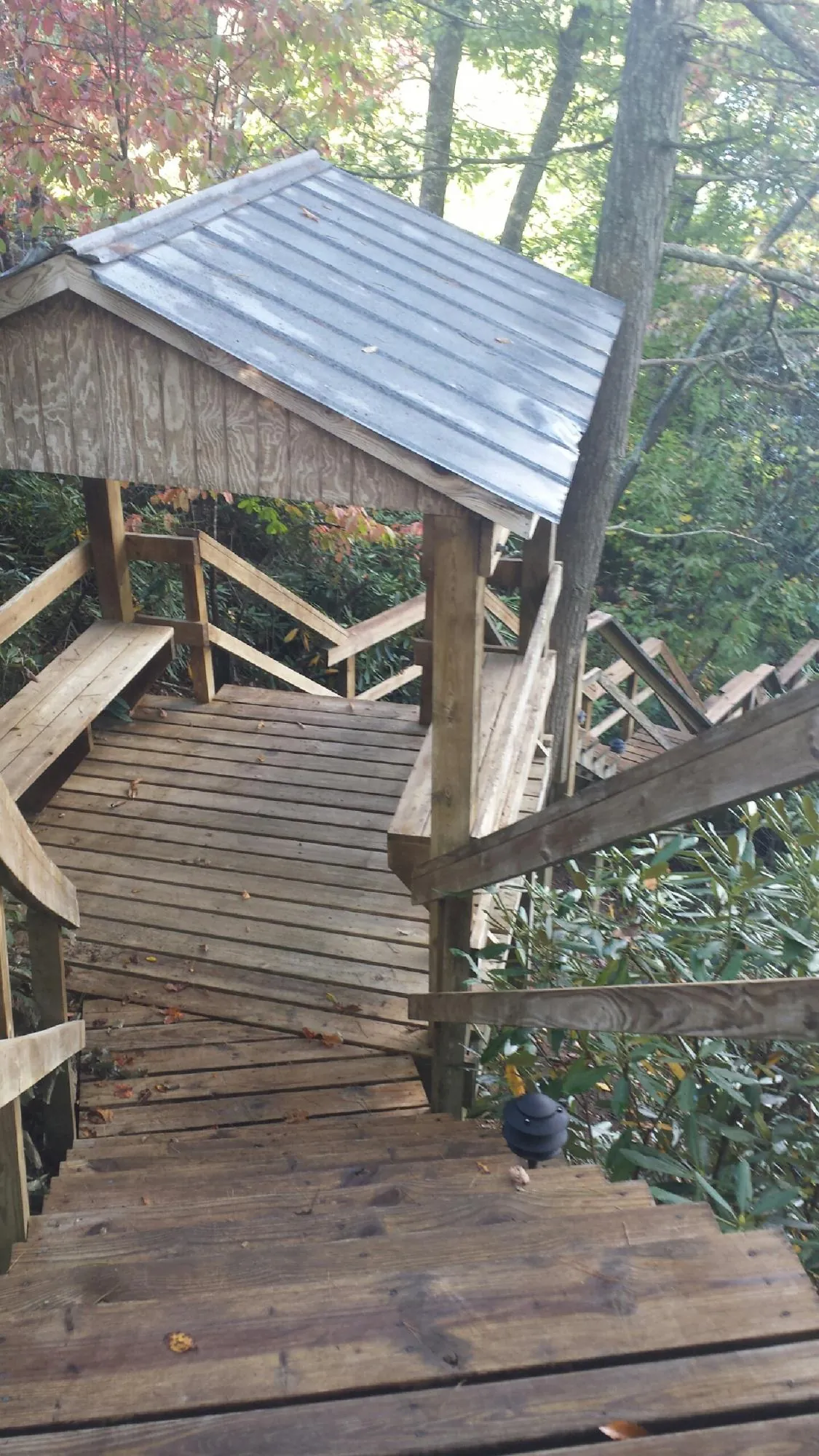 Metal roofed shelter over wooden steps on a wooded walkway — Skylight Repair & Installation work by our crew in Citra
