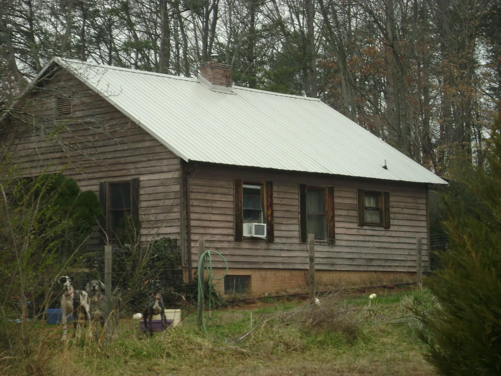 White metal roof on an old wood sided farmhouse, from a Metal Roof Installation job in Citra